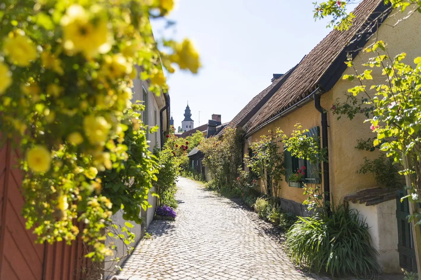 Visby on Gotland, photo: Destination Gotland